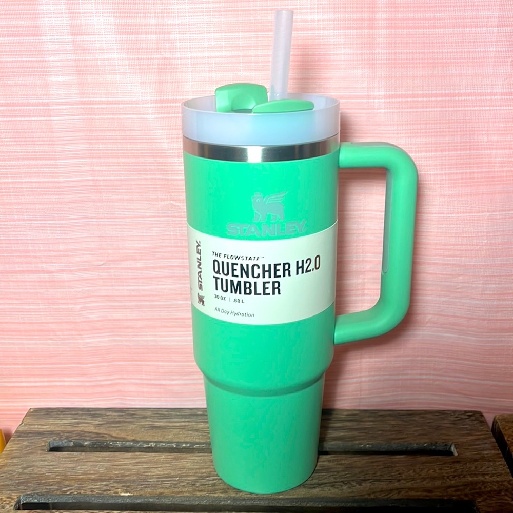 Brand New Stanley 30 oz Jade Tumbler